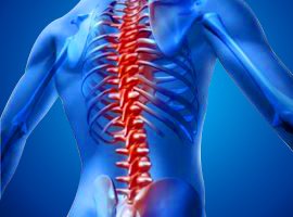 Spinal Cord Injury