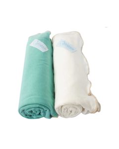 Bebitza Antibacterial Baby Wraps Pack